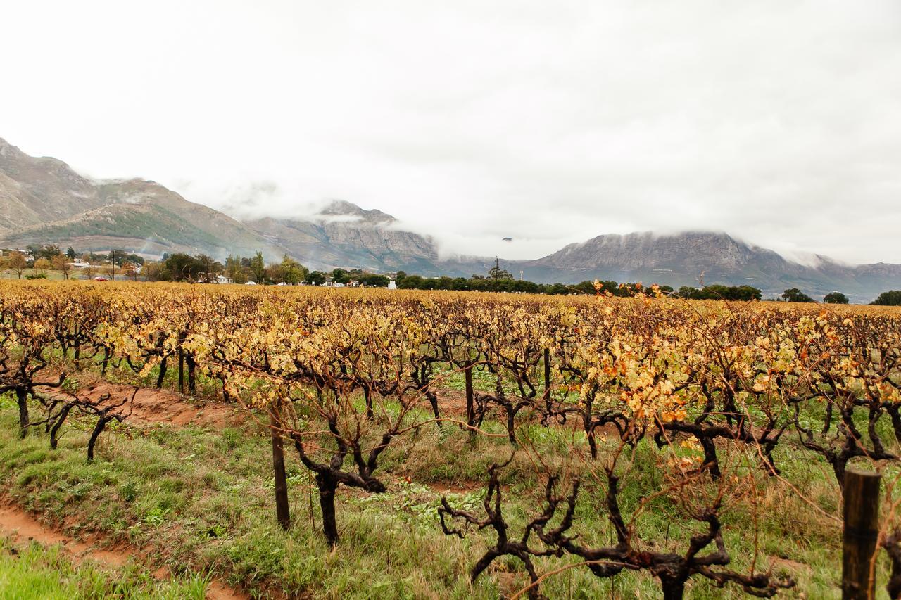 Basse Provence Country House Bed & Breakfast Franschhoek Exterior photo